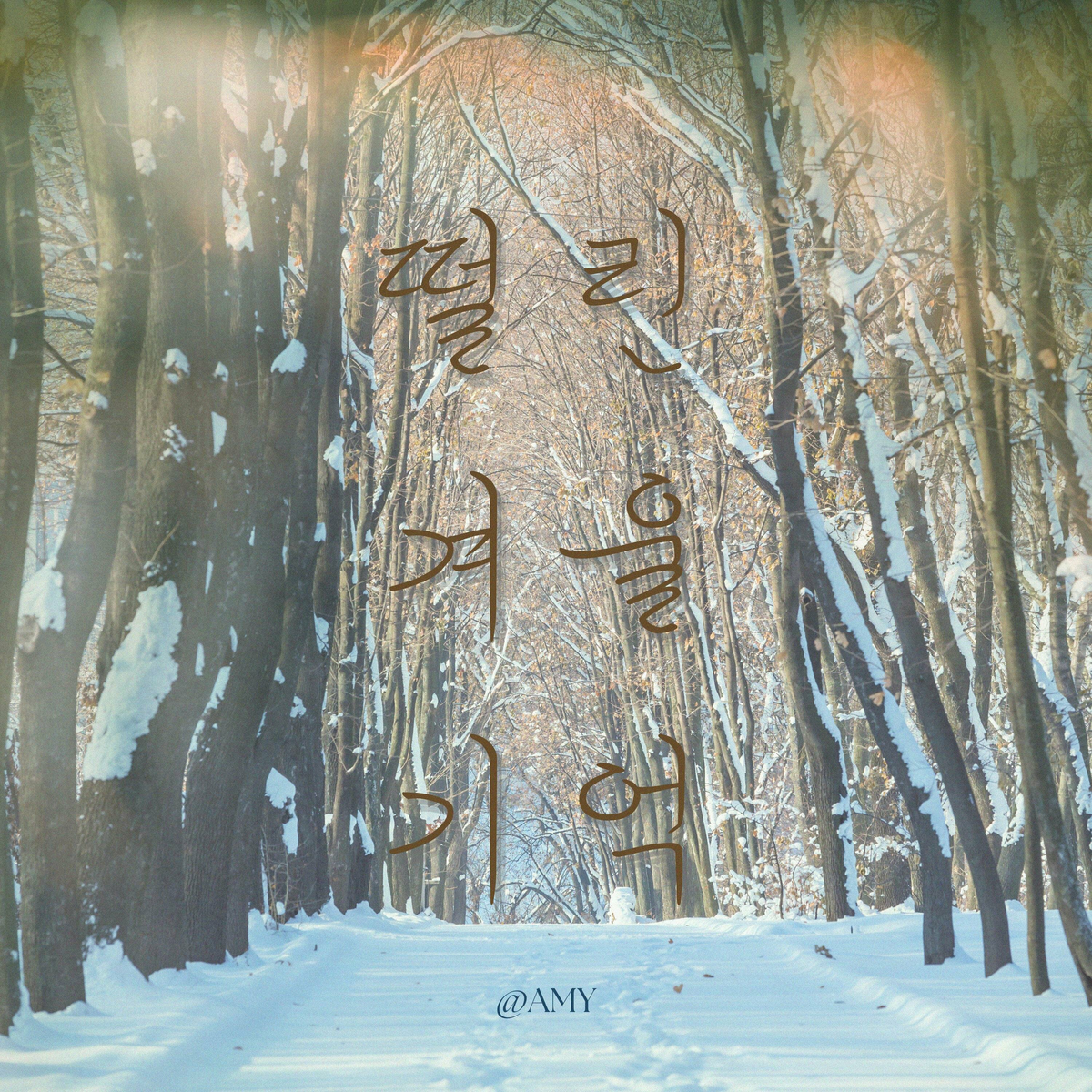 Image Cover